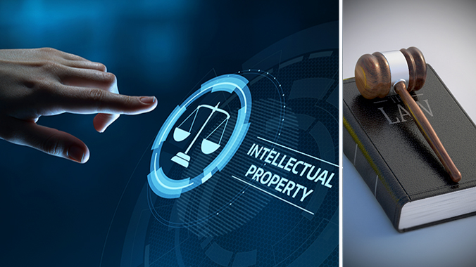 Master IP Litigation: Learn How to Identify Infringement and Protect IP Quickly, Quantify Damages, and Prove Irreparable Harm